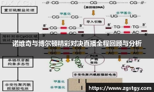 诺维奇与博尔顿精彩对决直播全程回顾与分析